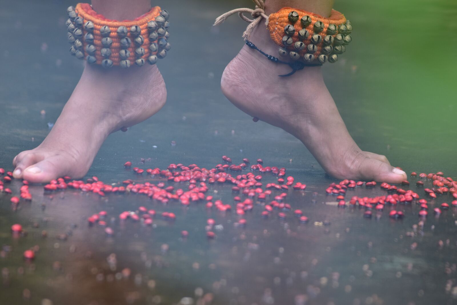 Nikon D3500 sample photo. Culture, india, dance photography