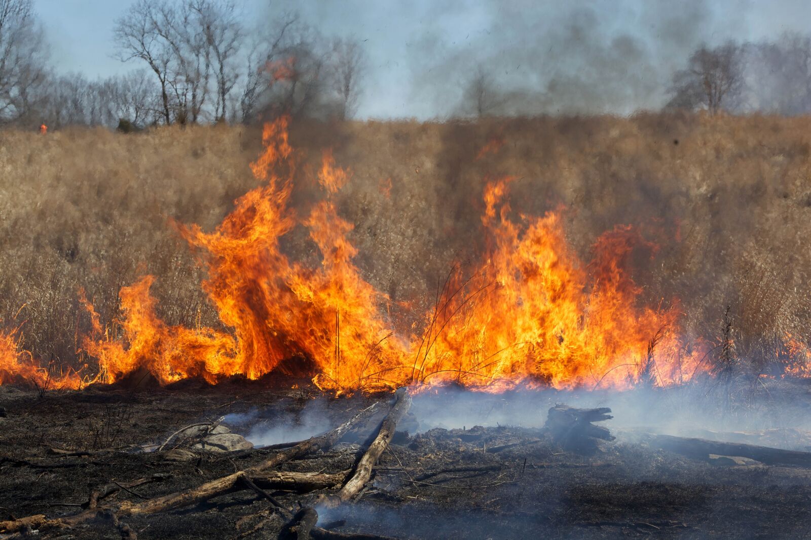 Canon EOS 5D Mark II sample photo. Fire, burn, birning, flame photography