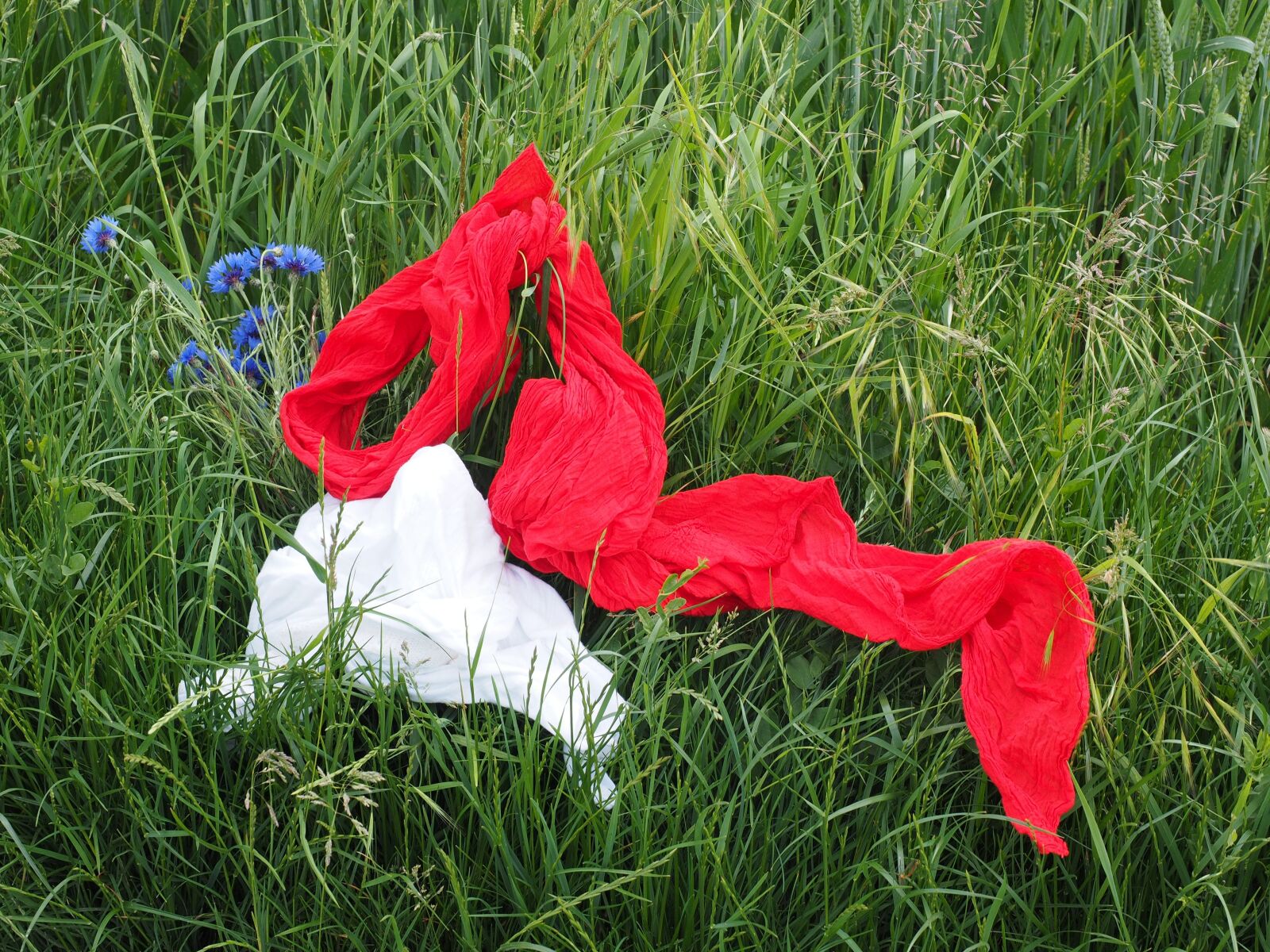 Olympus OM-D E-M1 + Olympus M.Zuiko Digital ED 12-40mm F2.8 Pro sample photo. Scarf, scarves, red photography