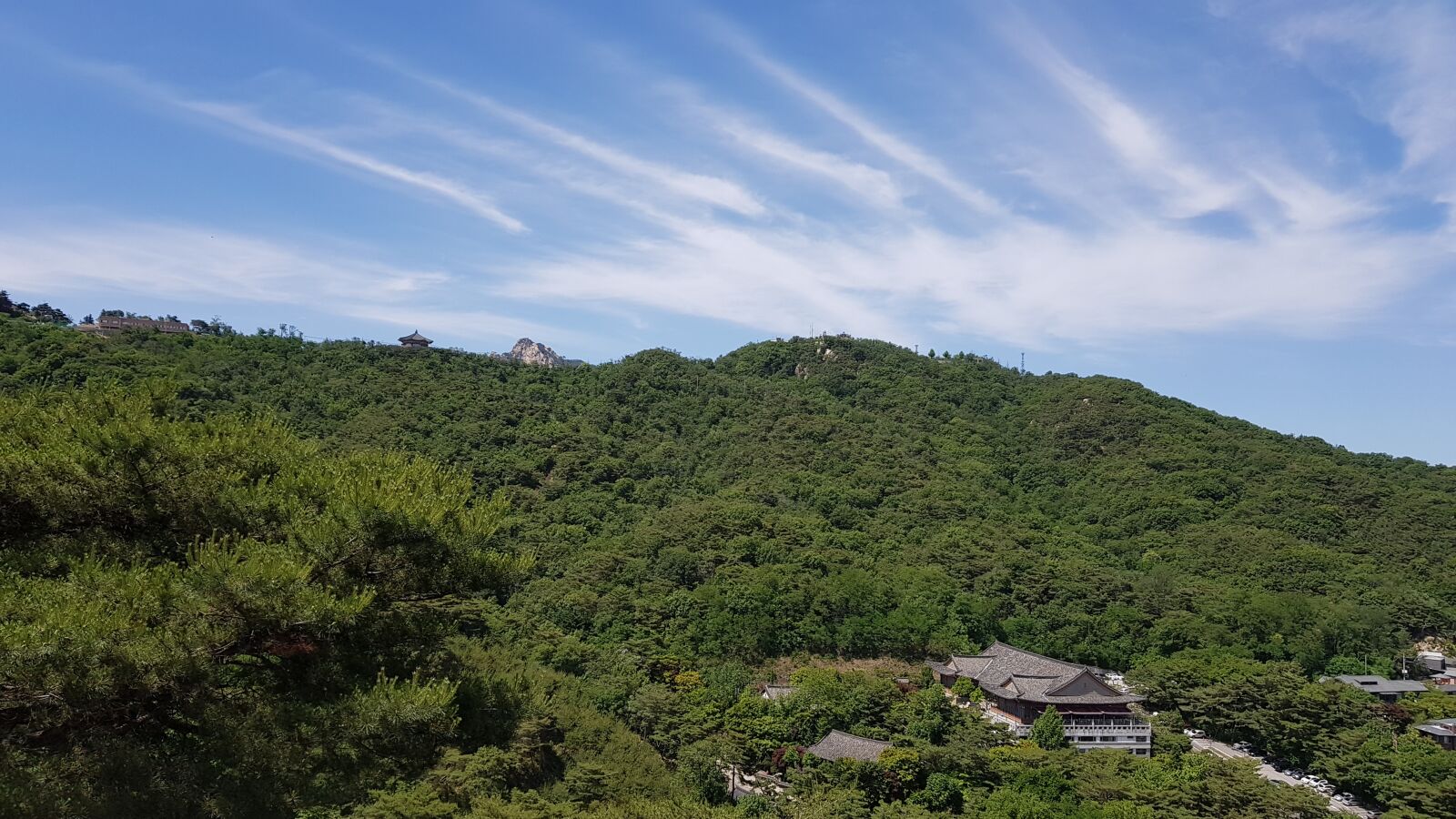 Samsung Galaxy S8+ sample photo