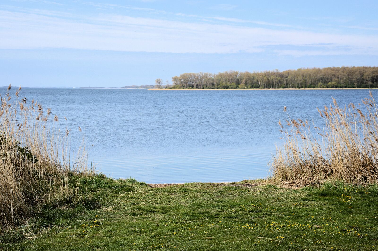 Nikon D3200 sample photo. Haff, baltic sea, rerik photography