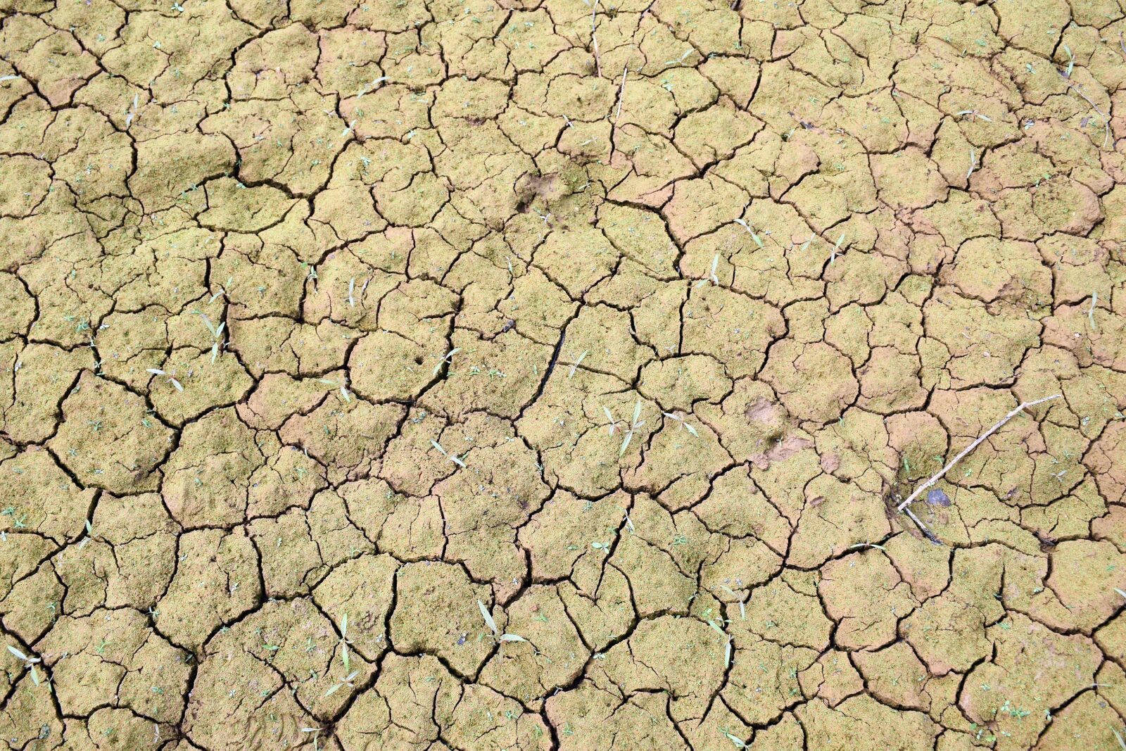 Nikon D5300 sample photo. Soil, dirt, weather photography