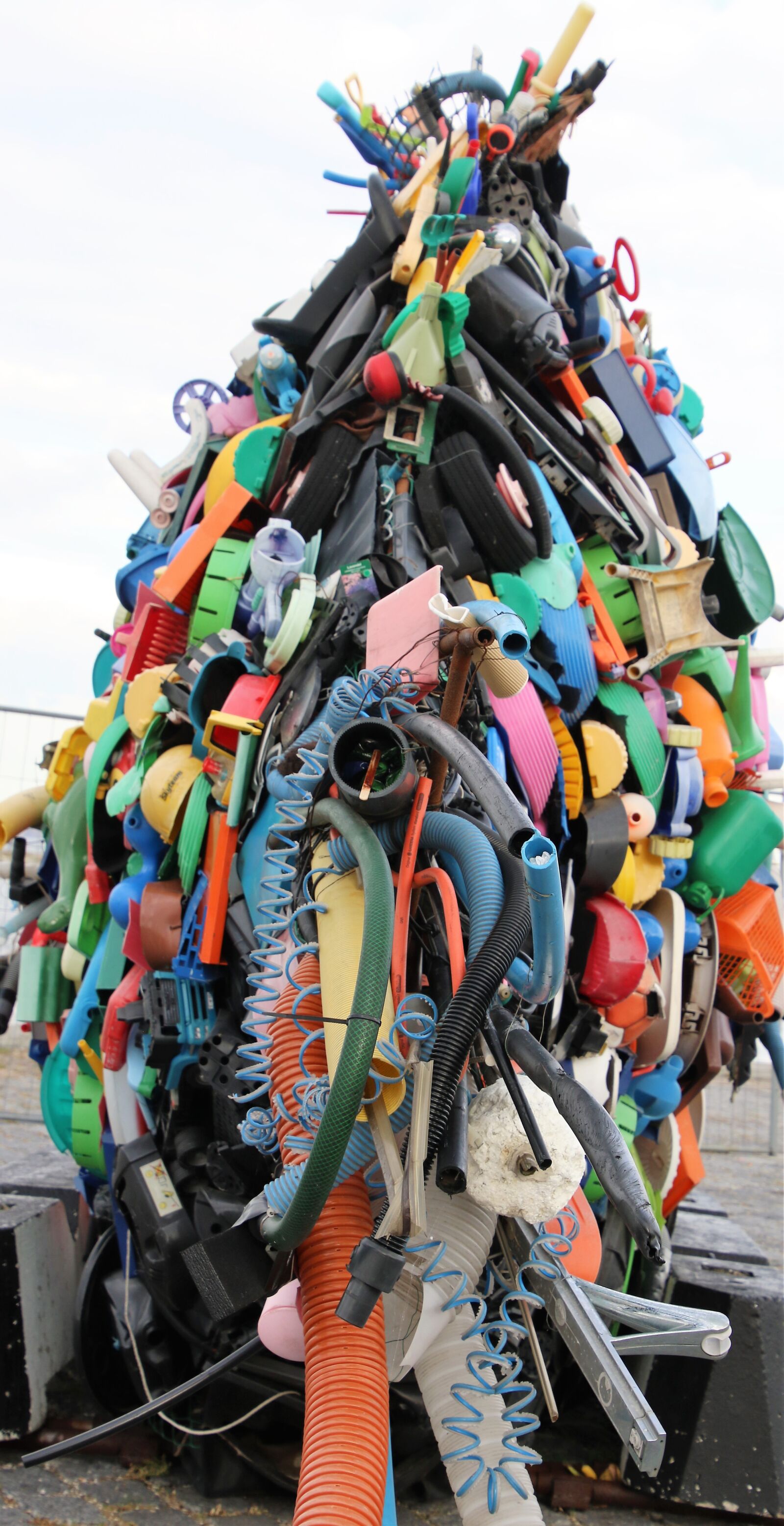 Canon EOS 7D Mark II sample photo. Art, backside, colorful, fish photography