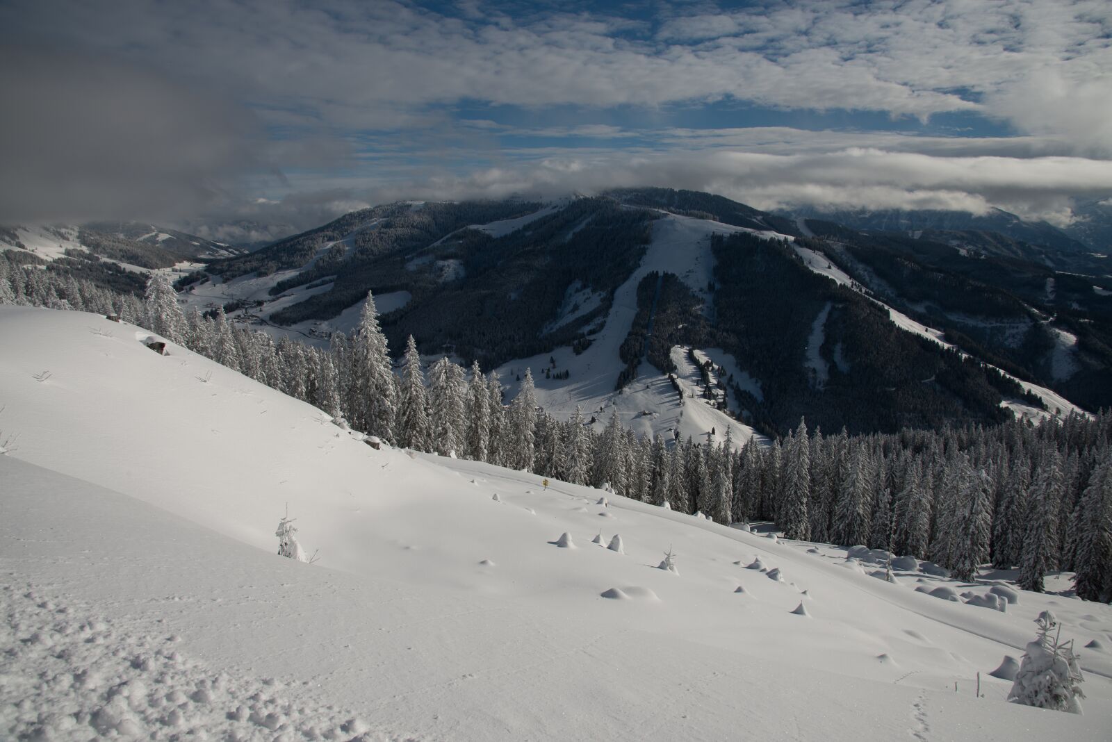 Nikon D800 sample photo. Winter, snow, nature photography