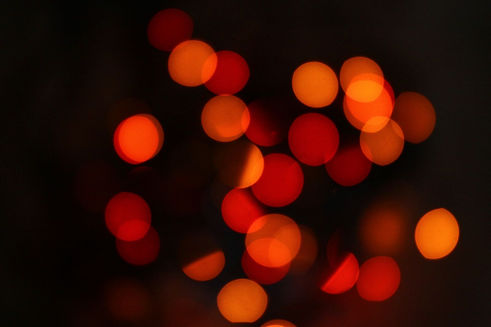 Canon EOS 50D sample photo. Bokeh, background, colorful photography