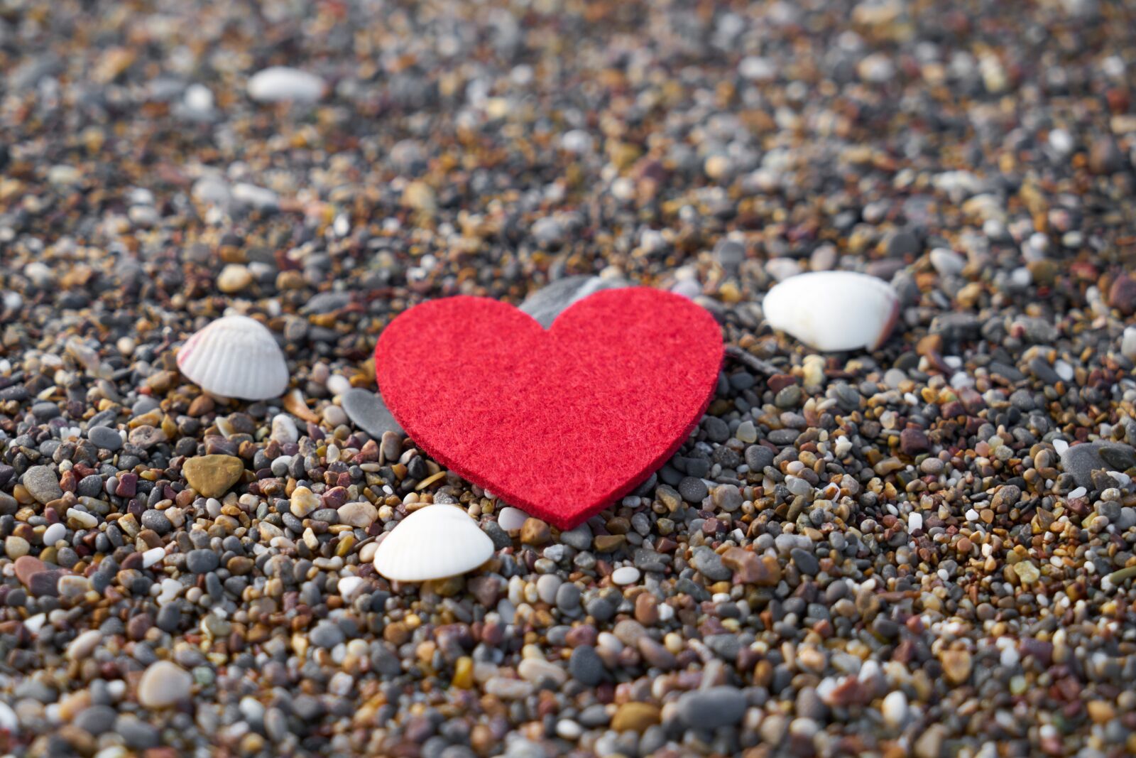 Sony a7R II sample photo. Valentine's day, celebration, heart photography