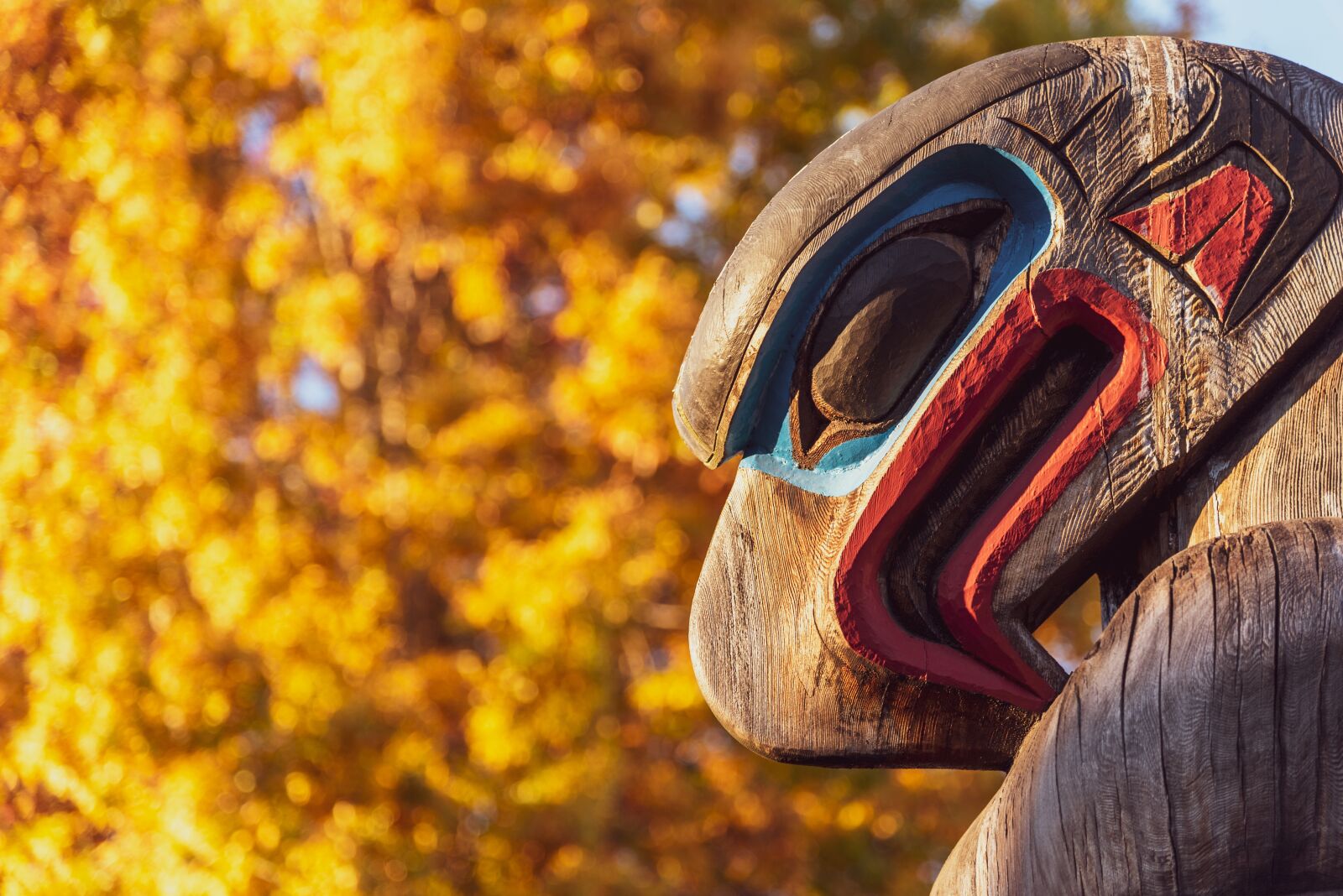 Nikon D750 sample photo. Totem, fall, leaves photography