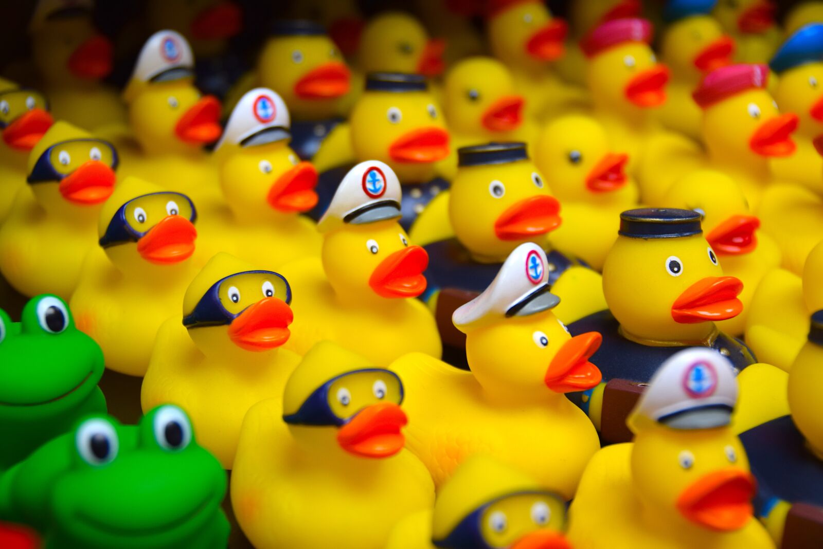 Nikon D5300 sample photo. Duck, bath duck, toys photography