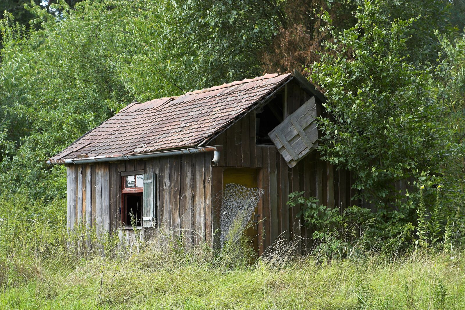 Canon EOS-1D Mark II sample photo. Left house, haunted house photography