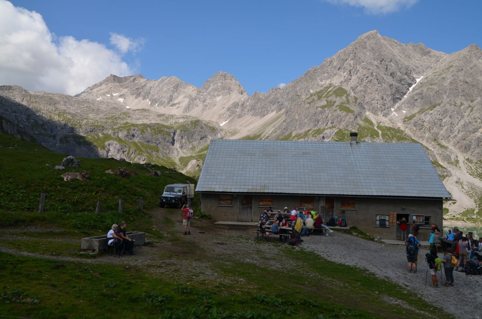 Nikon D5100 sample photo. Alm, alpine, nature photography