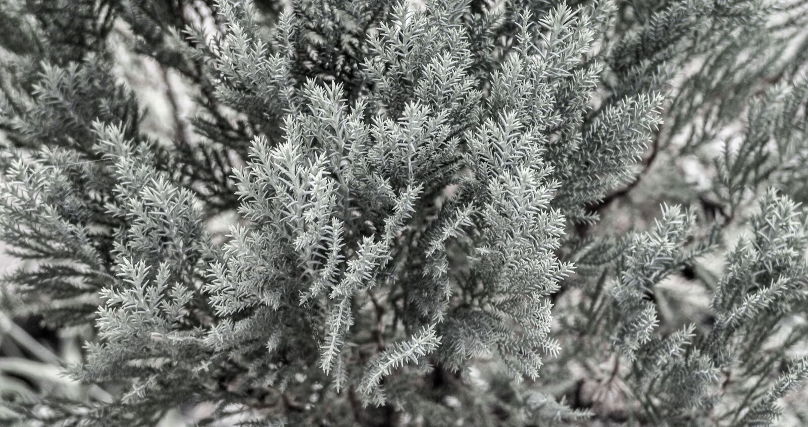 Nikon D90 sample photo. Nature, beautiful, natural photography