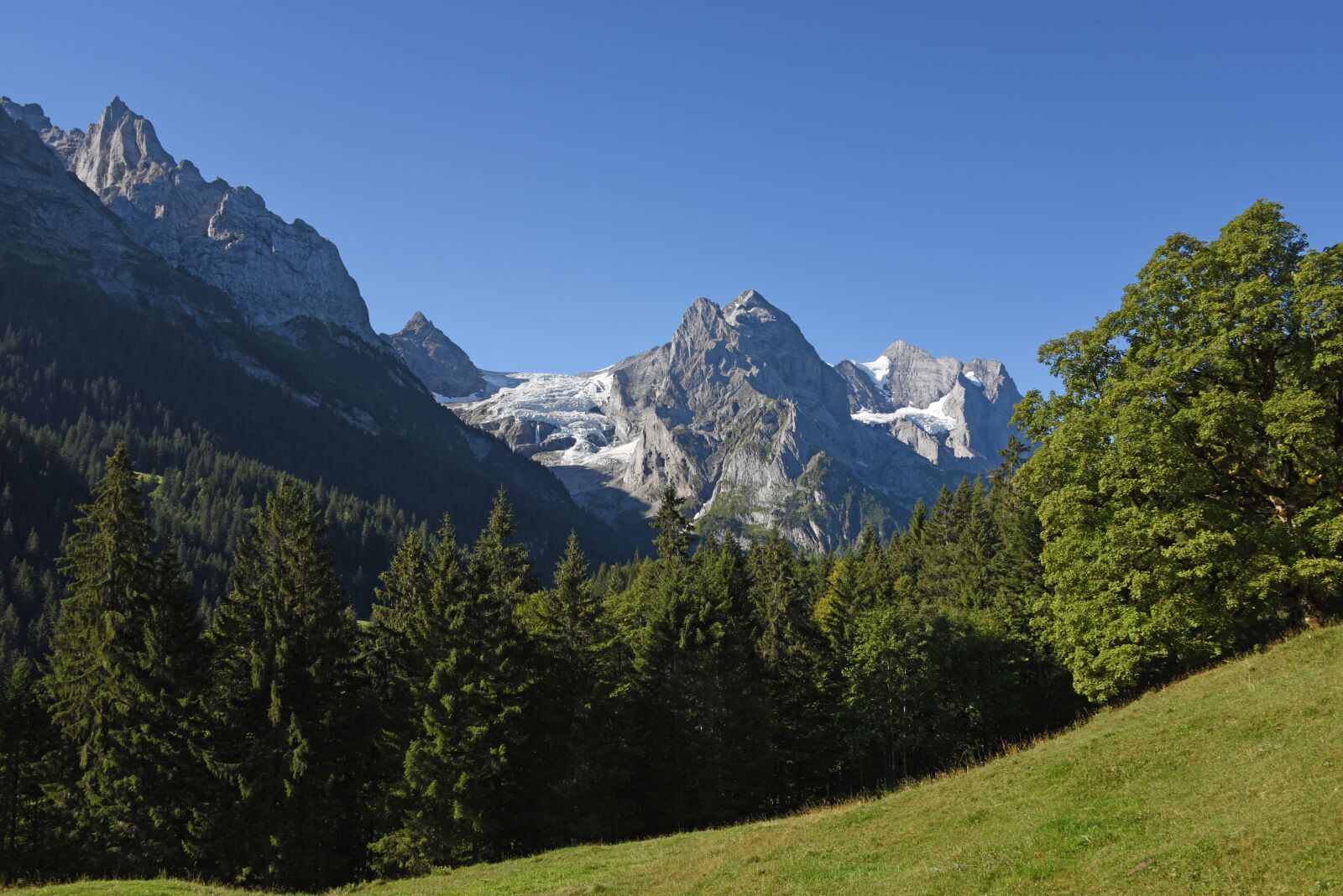 Nikon D810 sample photo. Roselaui, bernese oberland, mountain photography