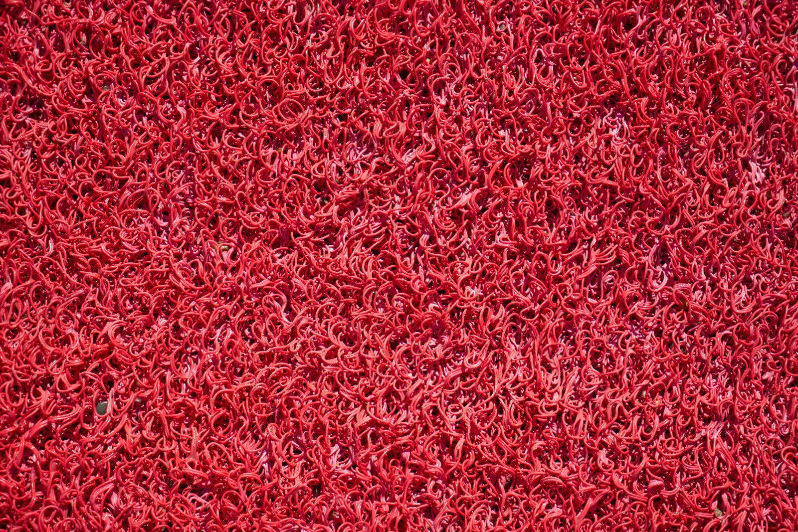Sony a7R II sample photo. Red, ground, plastic photography