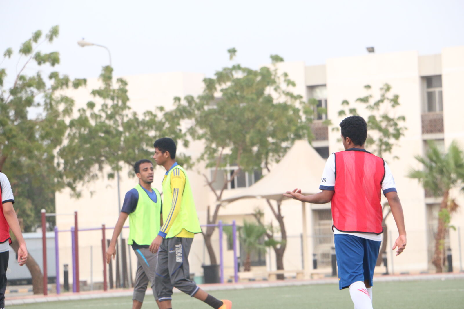 Canon EOS 70D sample photo