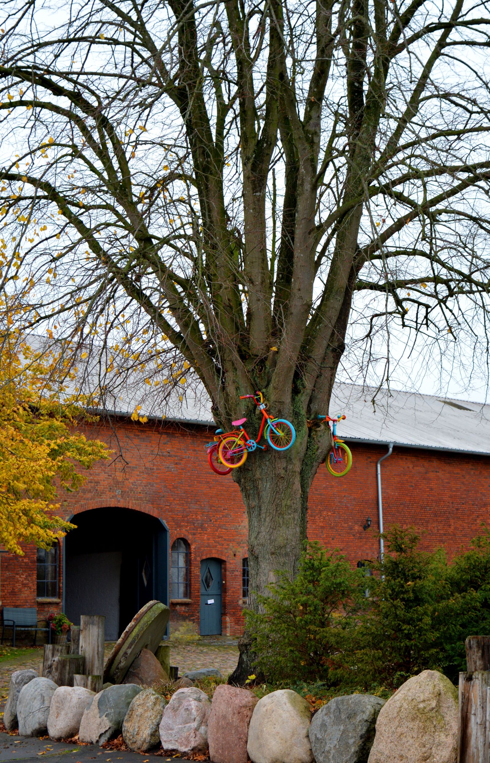 Nikon D3200 sample photo. Tree, bicycles, child's bike photography