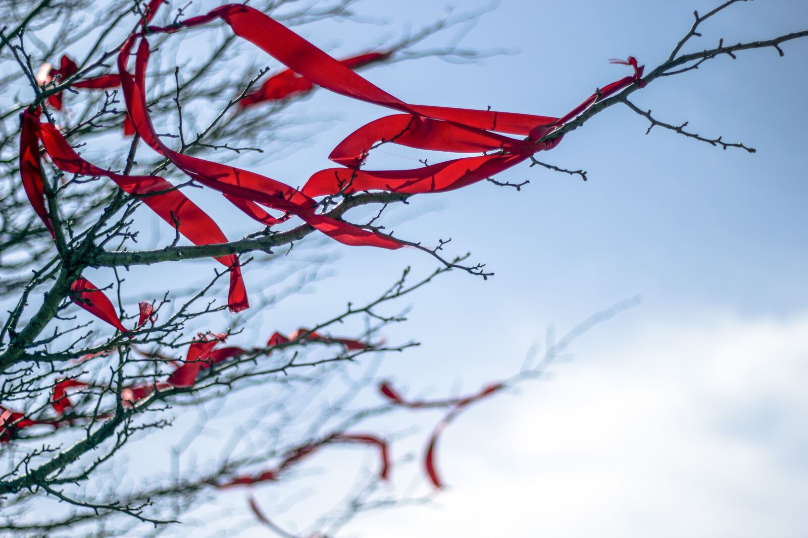 Canon EOS 60D + Canon EF 50mm F1.8 II sample photo. Blue sky, wishing belt photography