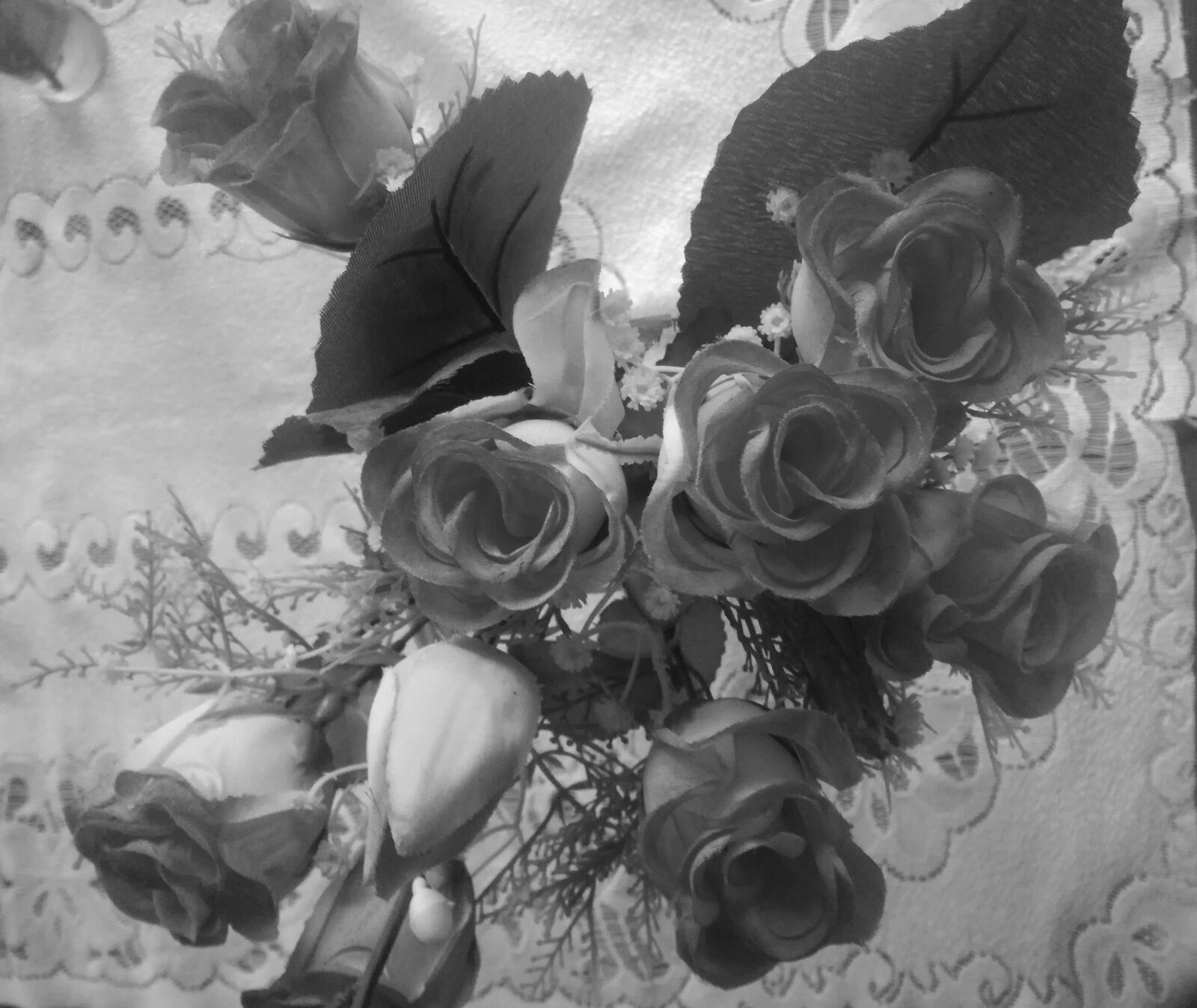 HUAWEI VNS-L21 sample photo. Flowers, blackandwhite, photo photography
