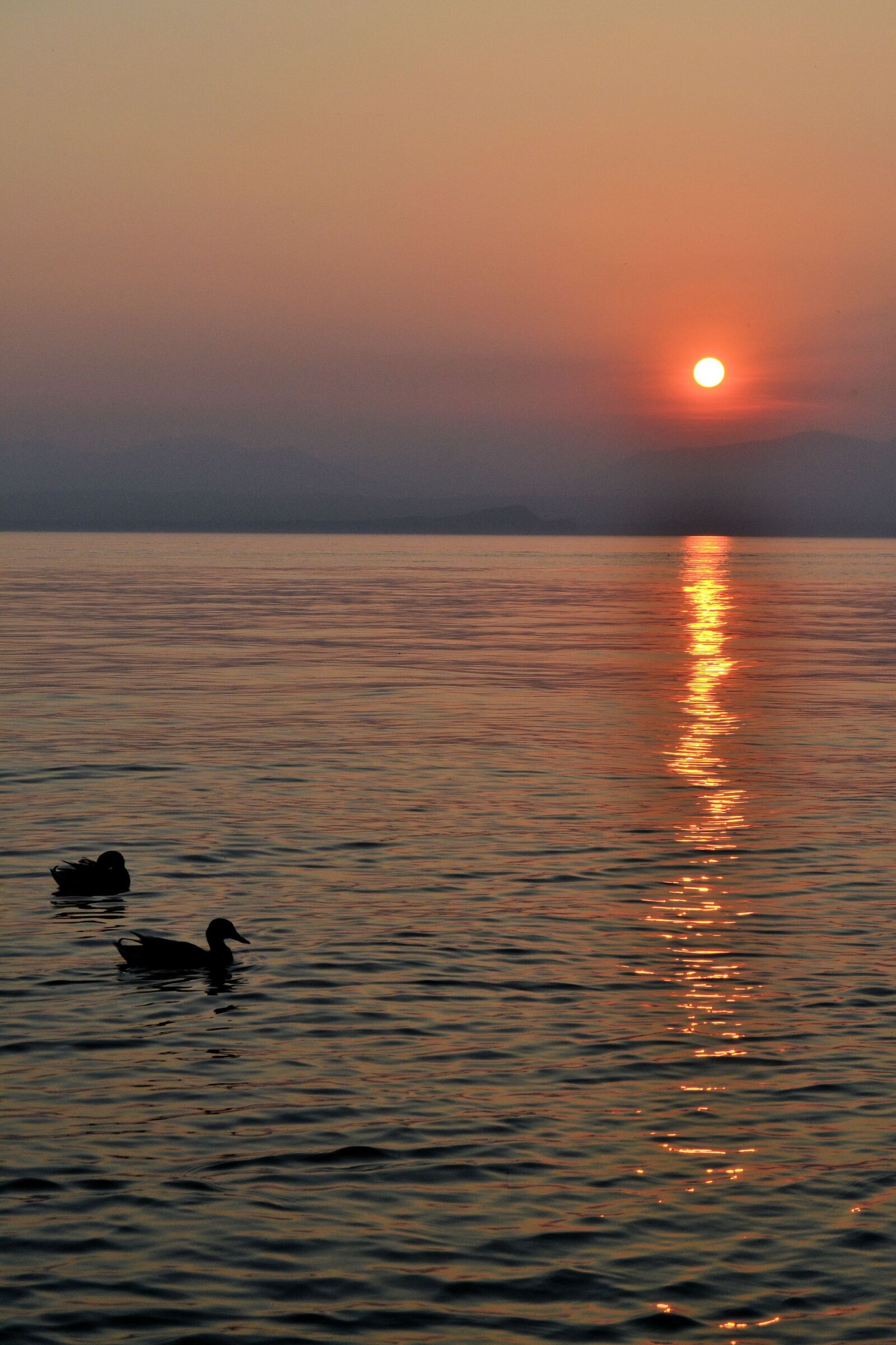 Nikon D3100 sample photo. Italy, garda, sunset photography