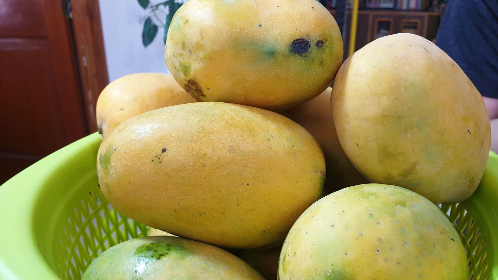 Samsung SM-N960F sample photo. Mango, fruit, yellow photography