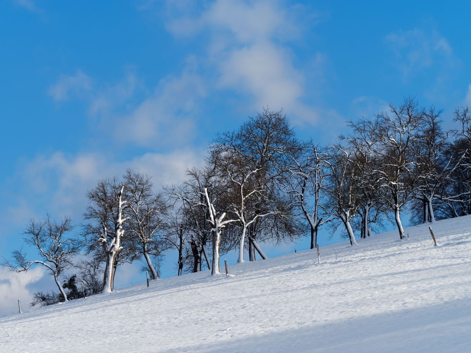 Olympus M.Zuiko Digital ED 40-150mm F2.8 Pro sample photo. Landscape, winters, hill photography