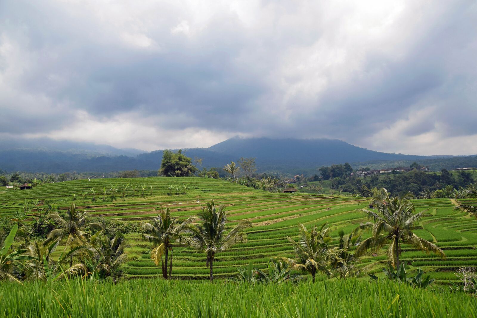 Nikon D3300 sample photo. Bali, indonesia, travel photography