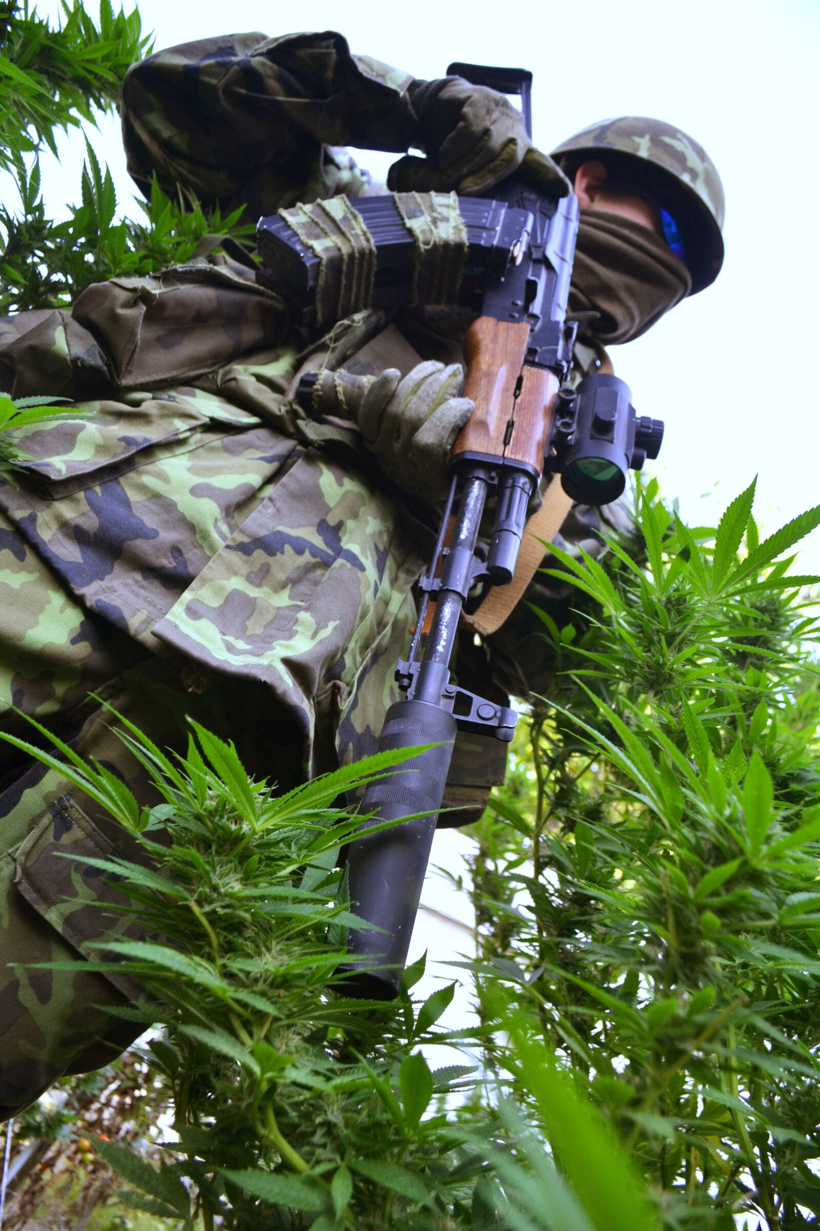 Nikon D3100 sample photo. Grass, ganja, marijuana photography