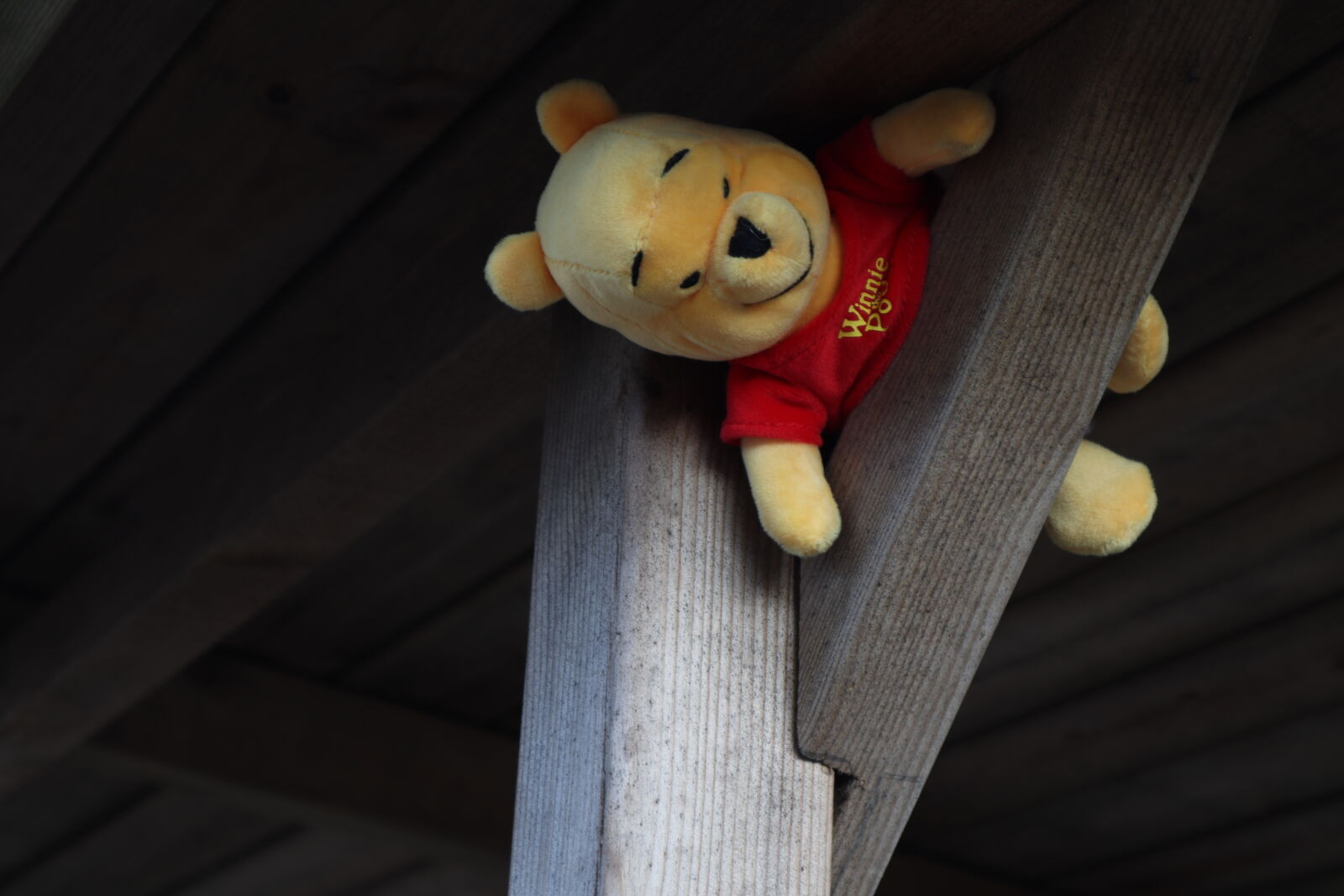 Canon EOS M200 sample photo. Pooh in tight situation photography