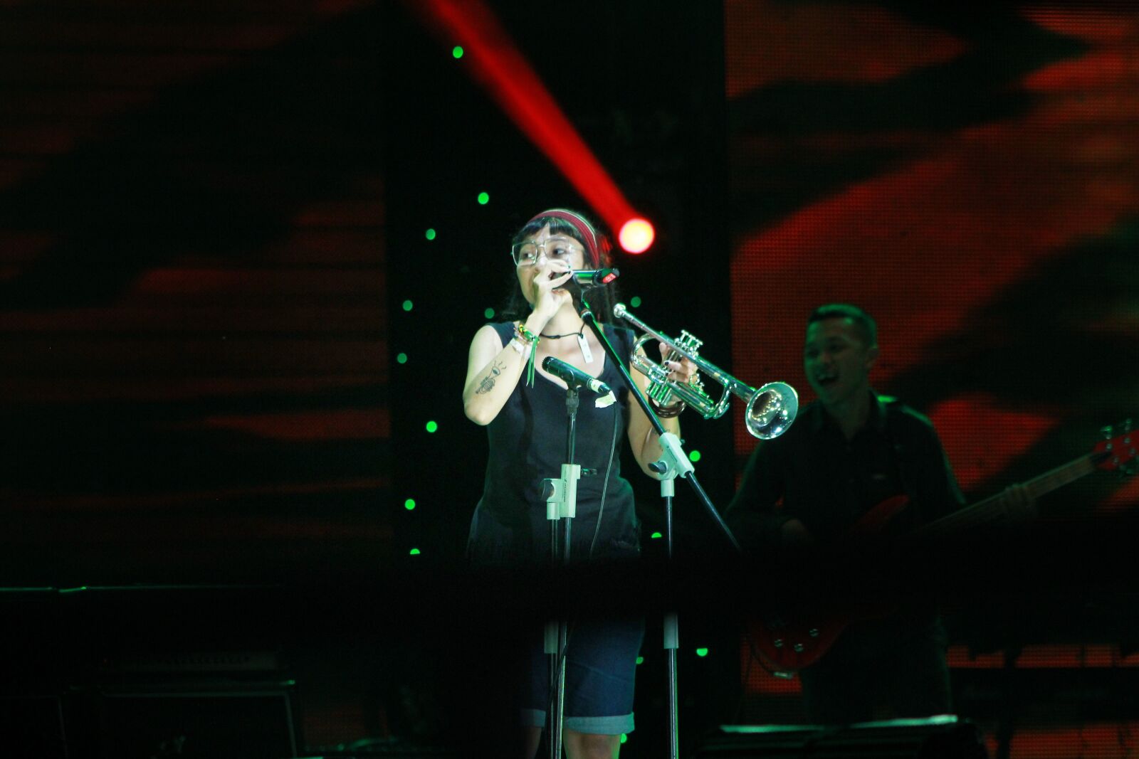 Canon EOS 550D (EOS Rebel T2i / EOS Kiss X4) sample photo. Concert, reggae, music photography