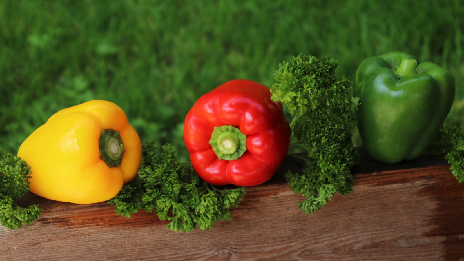 Canon EOS 80D sample photo. Paprika, three colors, vitamins photography