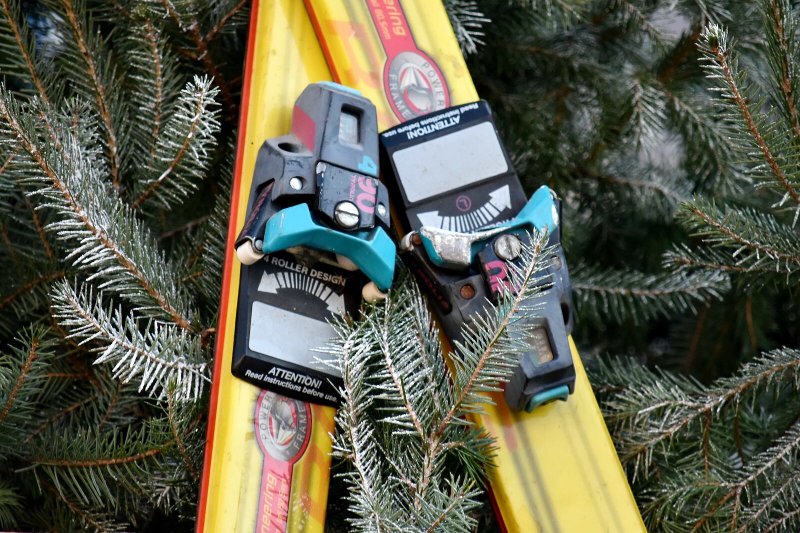 Nikon D5500 sample photo. Branch, conifers, equipment, object photography
