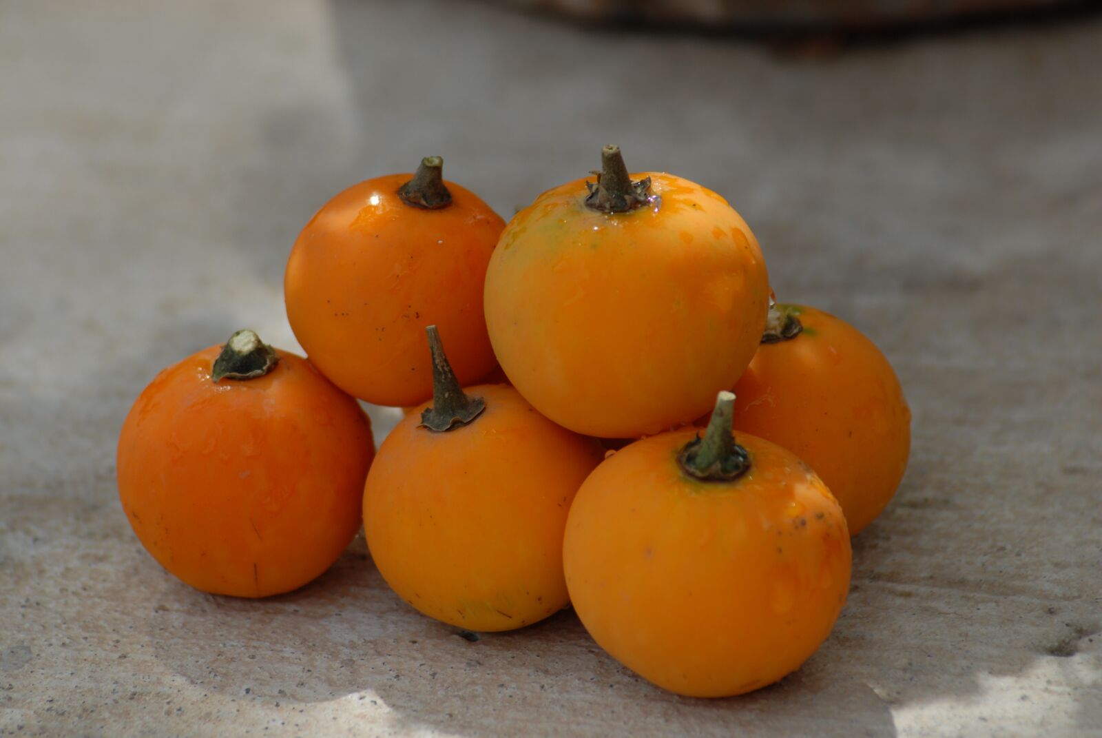 Nikon D200 sample photo. Fruit, texture, nature photography