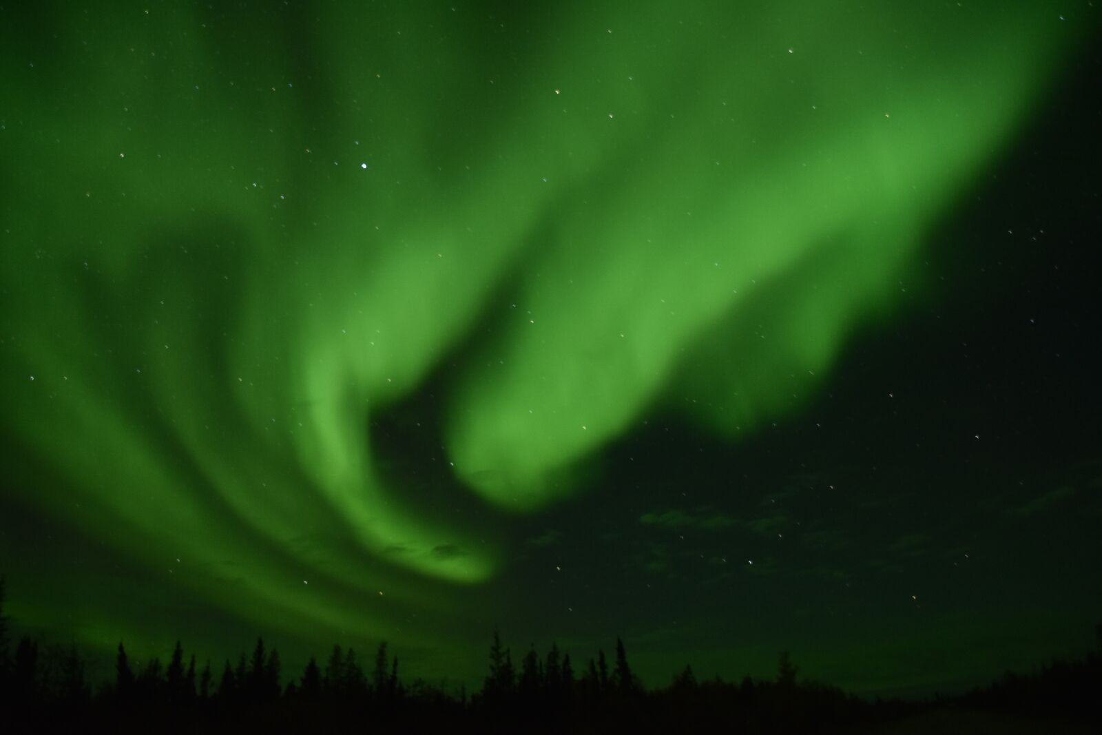 Nikon D7200 sample photo. Aurora, natural, leaf photography