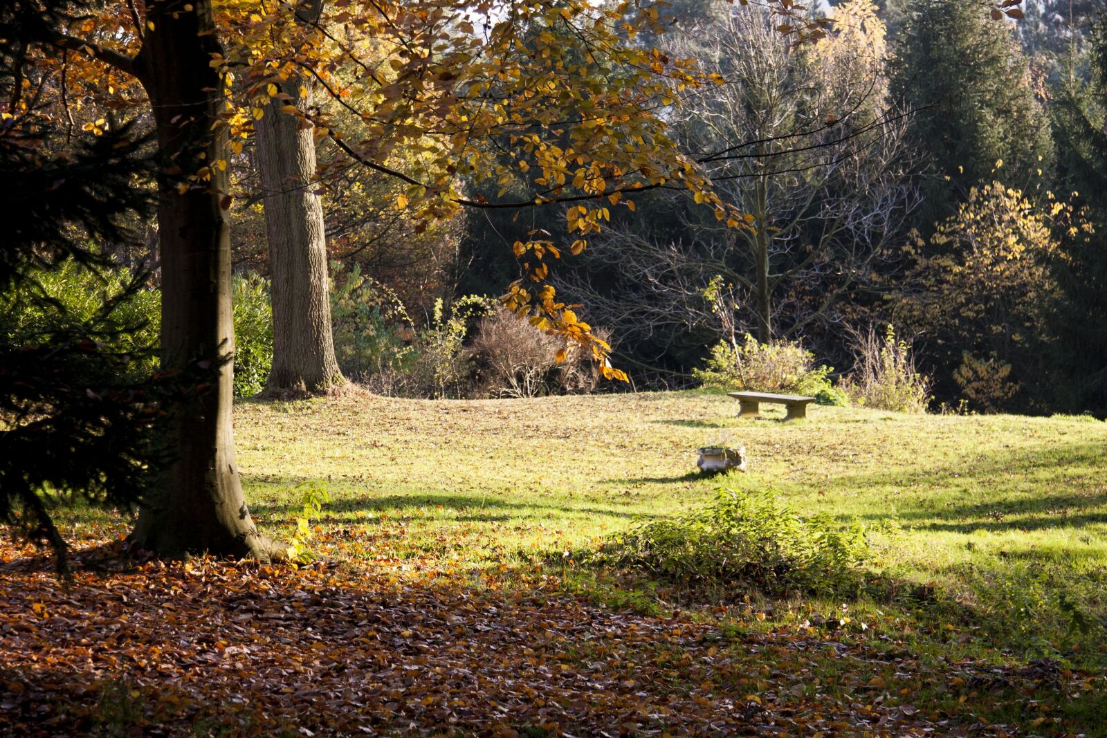 Canon EOS 20D sample photo. Landscape, fall, trees photography