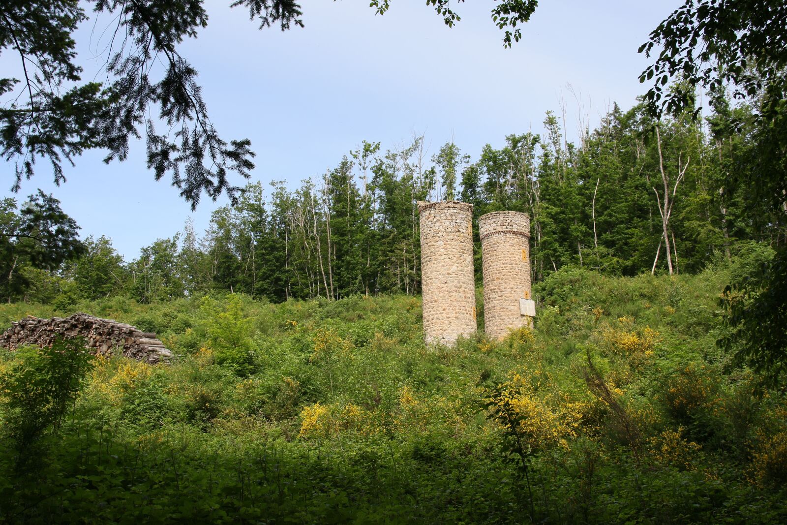 Canon EOS 7D Mark II sample photo. Tower, building, unusual photography