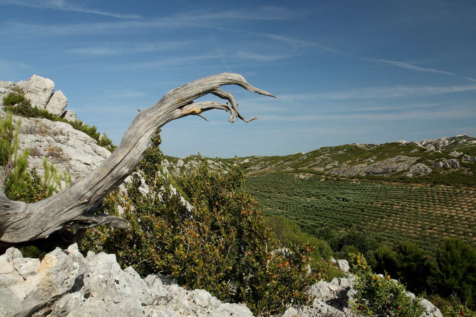 Canon EOS 450D (EOS Rebel XSi / EOS Kiss X2) sample photo. Provence, alpilles, valley of photography