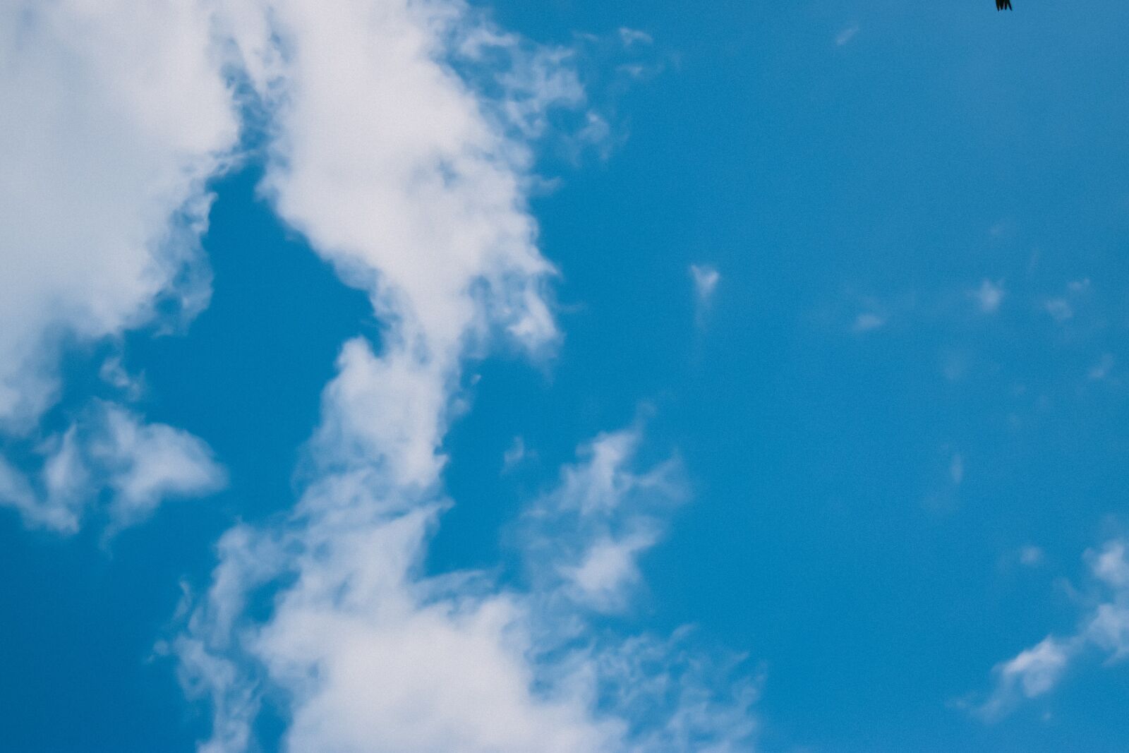 Nikon D3500 sample photo. Sky, space, day time photography