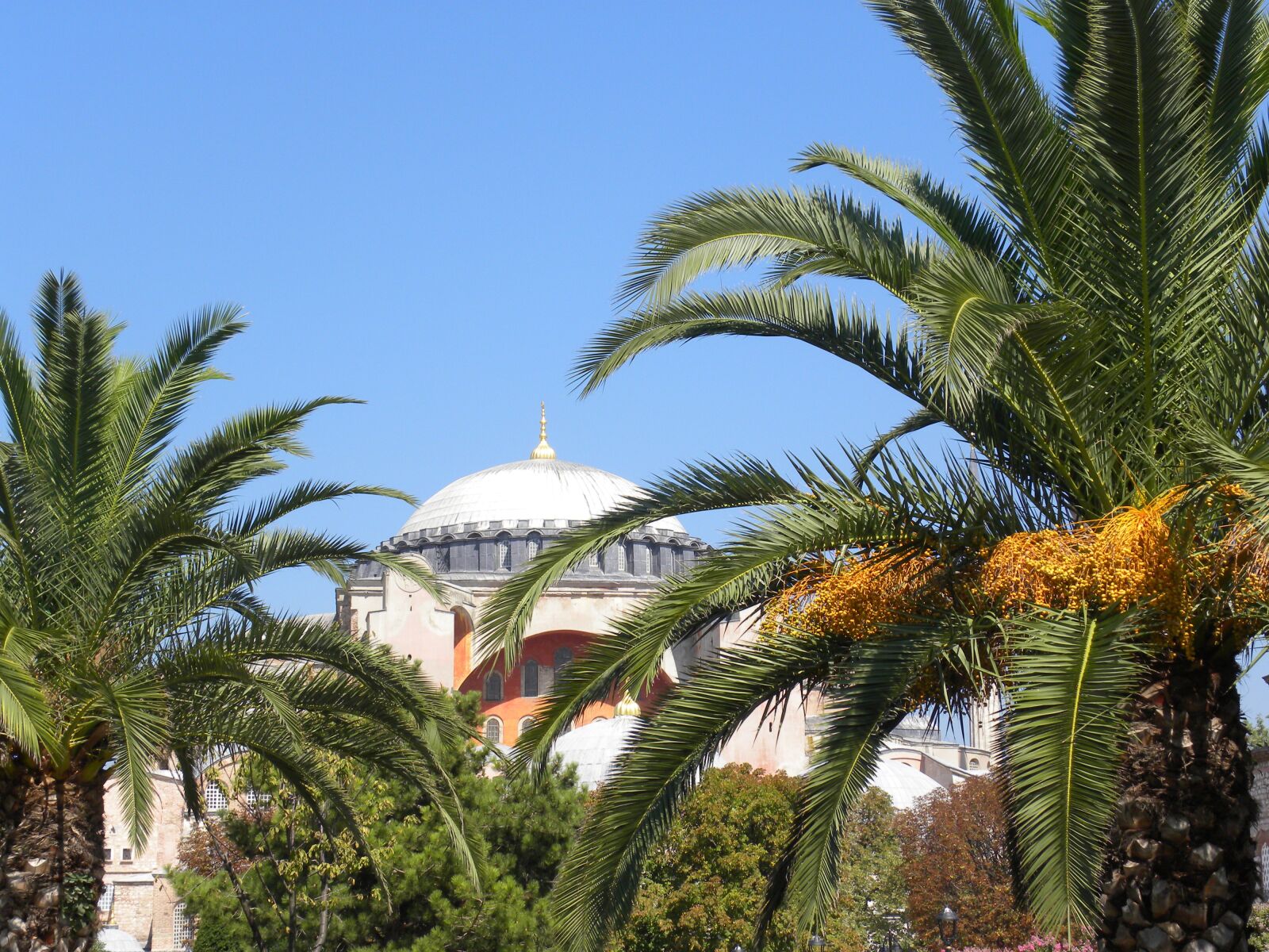 Nikon Coolpix P90 sample photo. Mosque, istanbul, turkey photography
