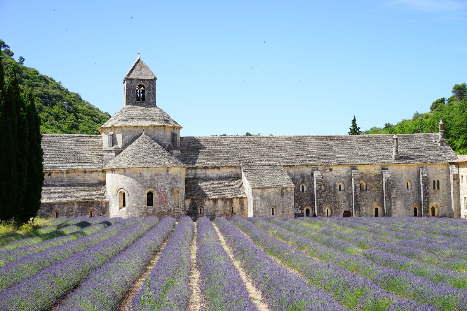 Sony a7 + Sony Sonnar T* FE 55mm F1.8 ZA sample photo. Monastery, abbey, notre dame photography
