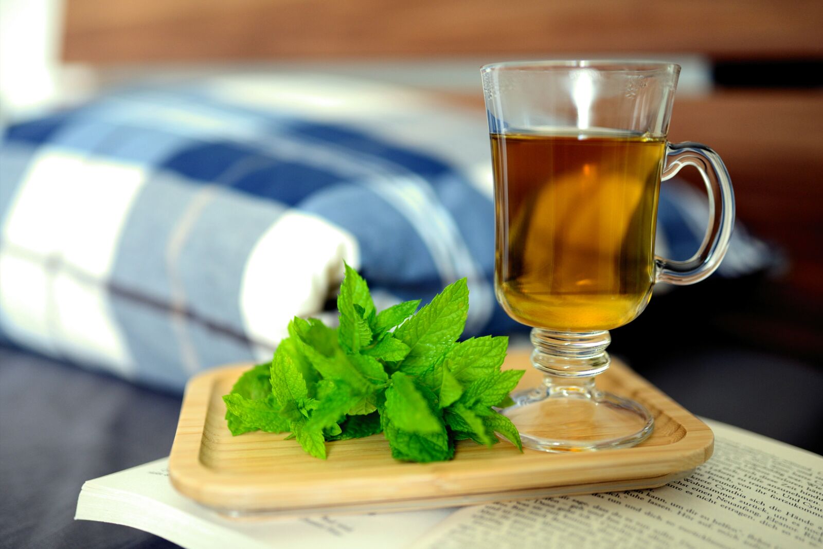 Nikon D610 sample photo. Peppermint tea, peppermint, mint photography