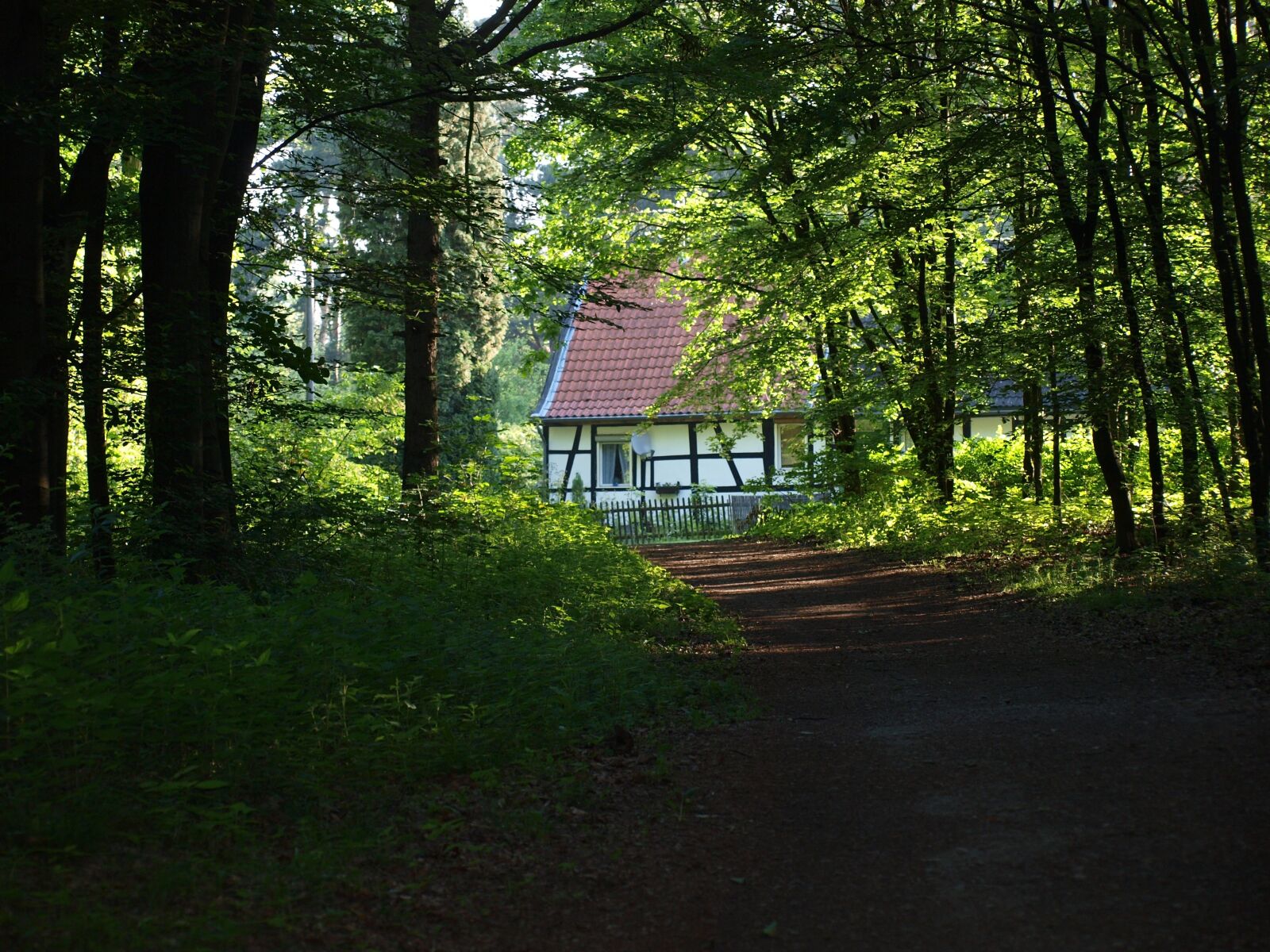Olympus E-420 (EVOLT E-420) sample photo. Forest, nature, house photography