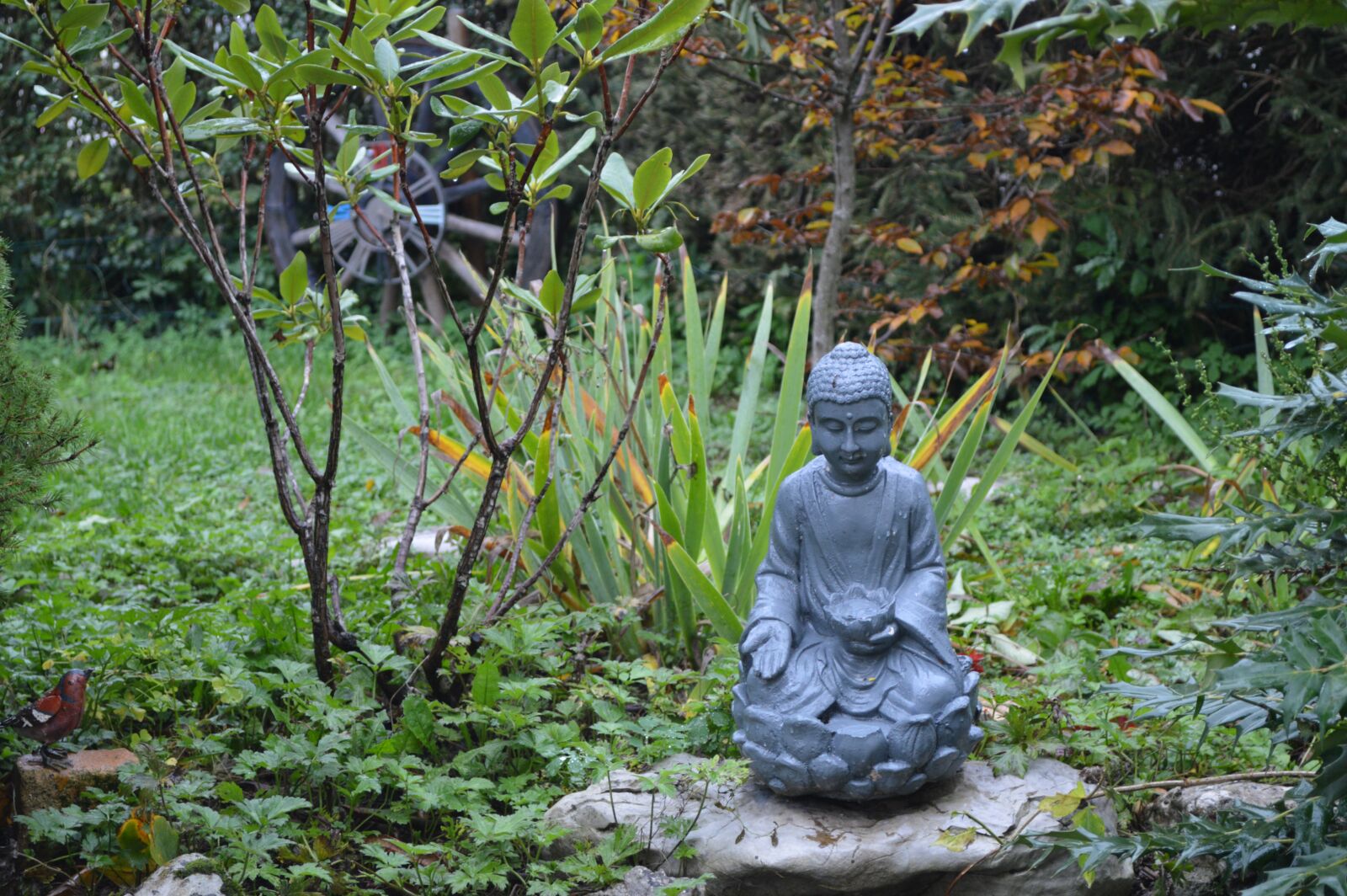 Nikon D3200 sample photo. Buddha, statue, zen photography
