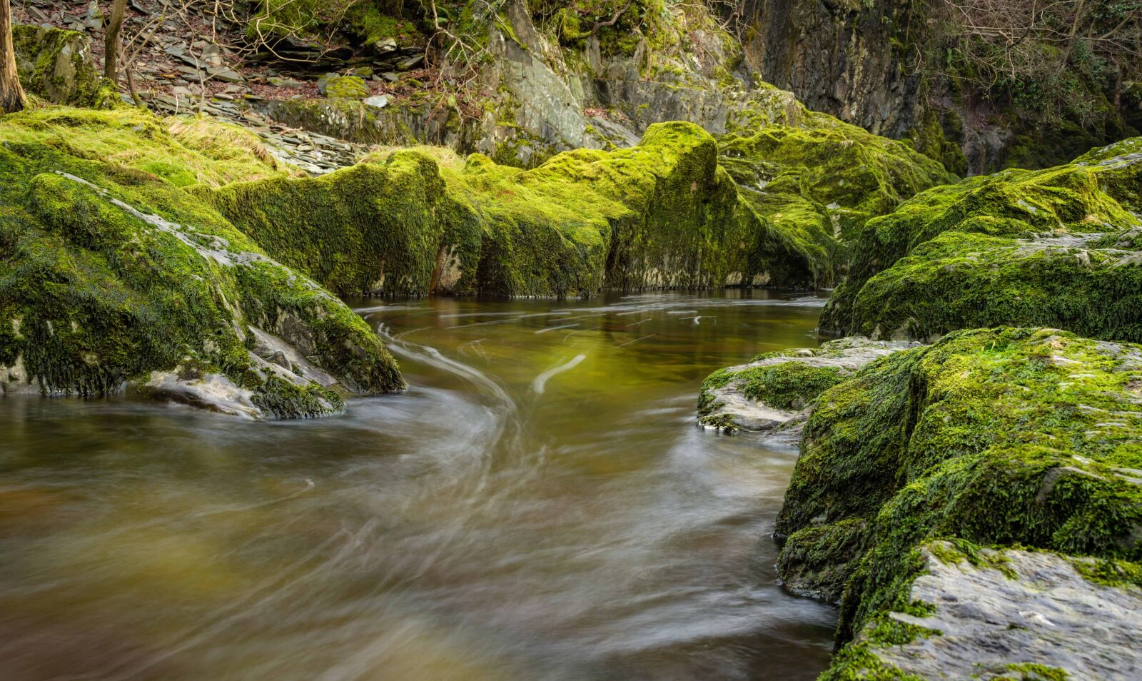 Nikon D7100 sample photo. Stream, water, landscape, wood photography