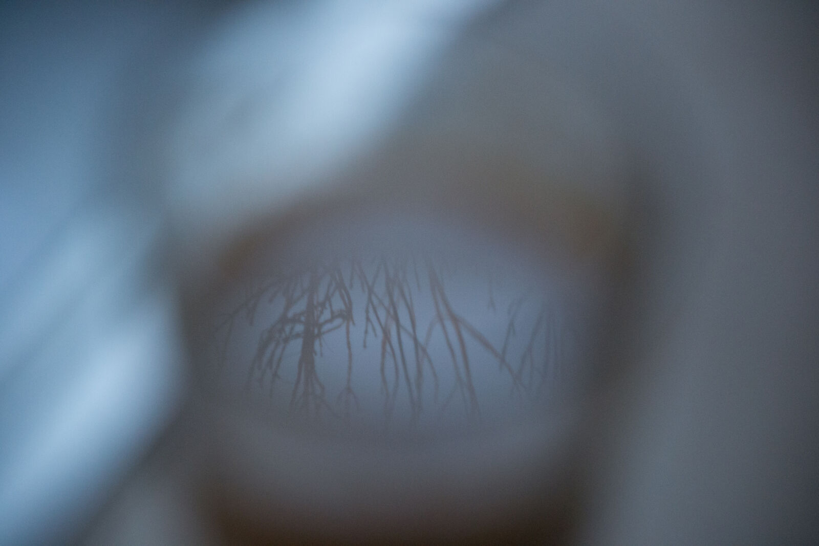 Nikon D3100 sample photo. Coffe, window, winter photography