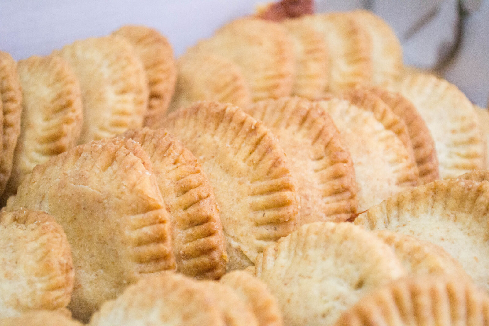 Nikon D3100 sample photo. Assado, comida, food, pastel photography
