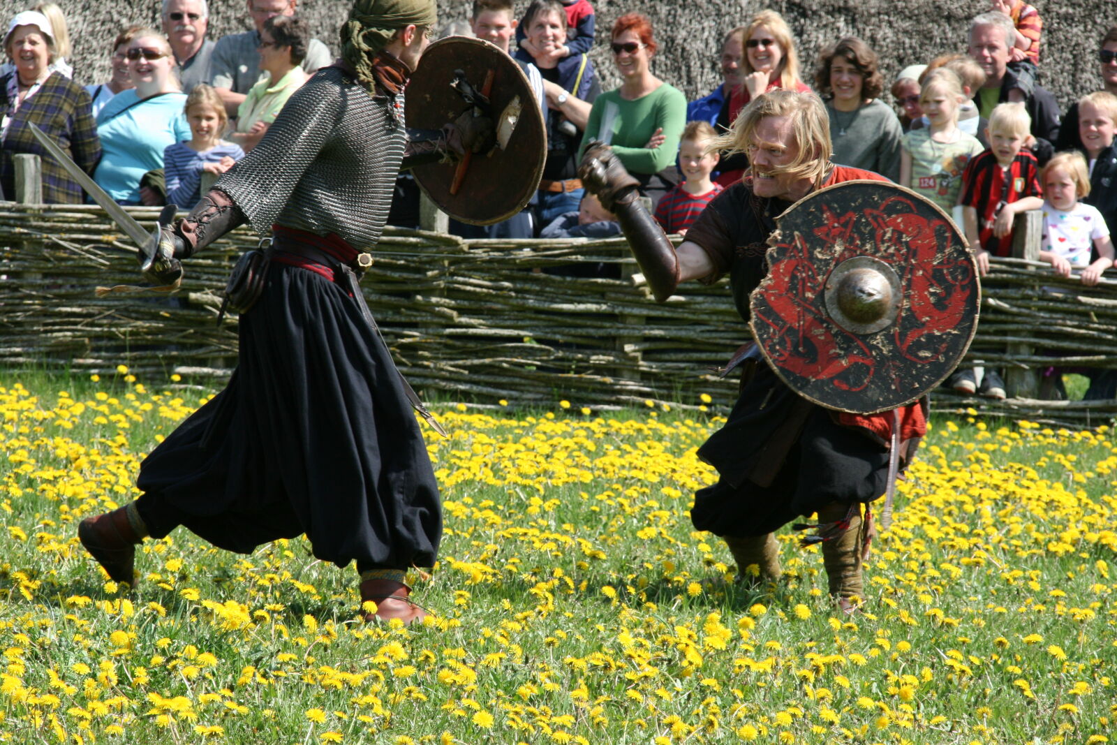 Sigma 18-200mm f/3.5-6.3 DC OS sample photo. Vikings photography