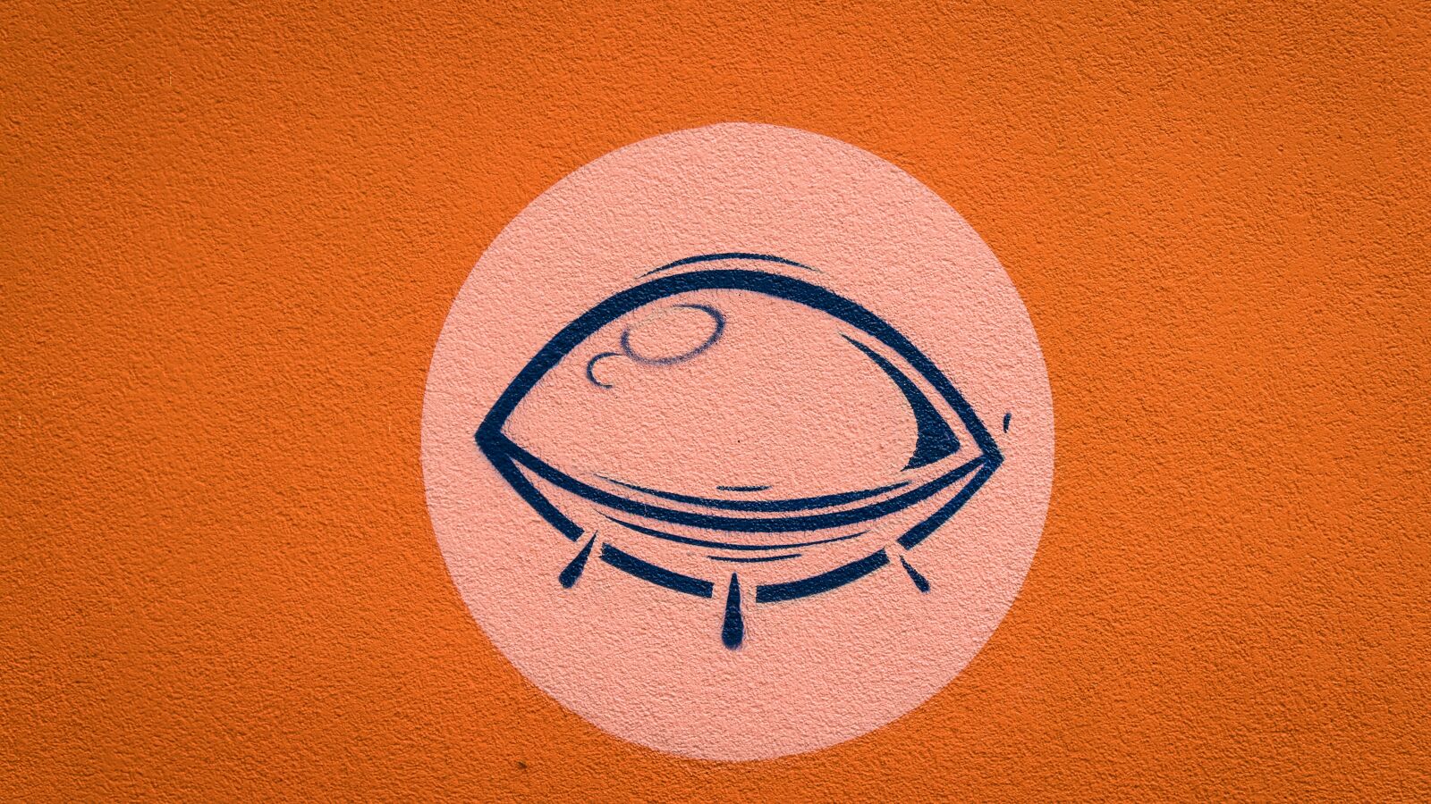 Sony a6500 + Sony Vario-Tessar T* E 16-70mm F4 ZA OSS sample photo. Graffiti, eye, closed eye photography