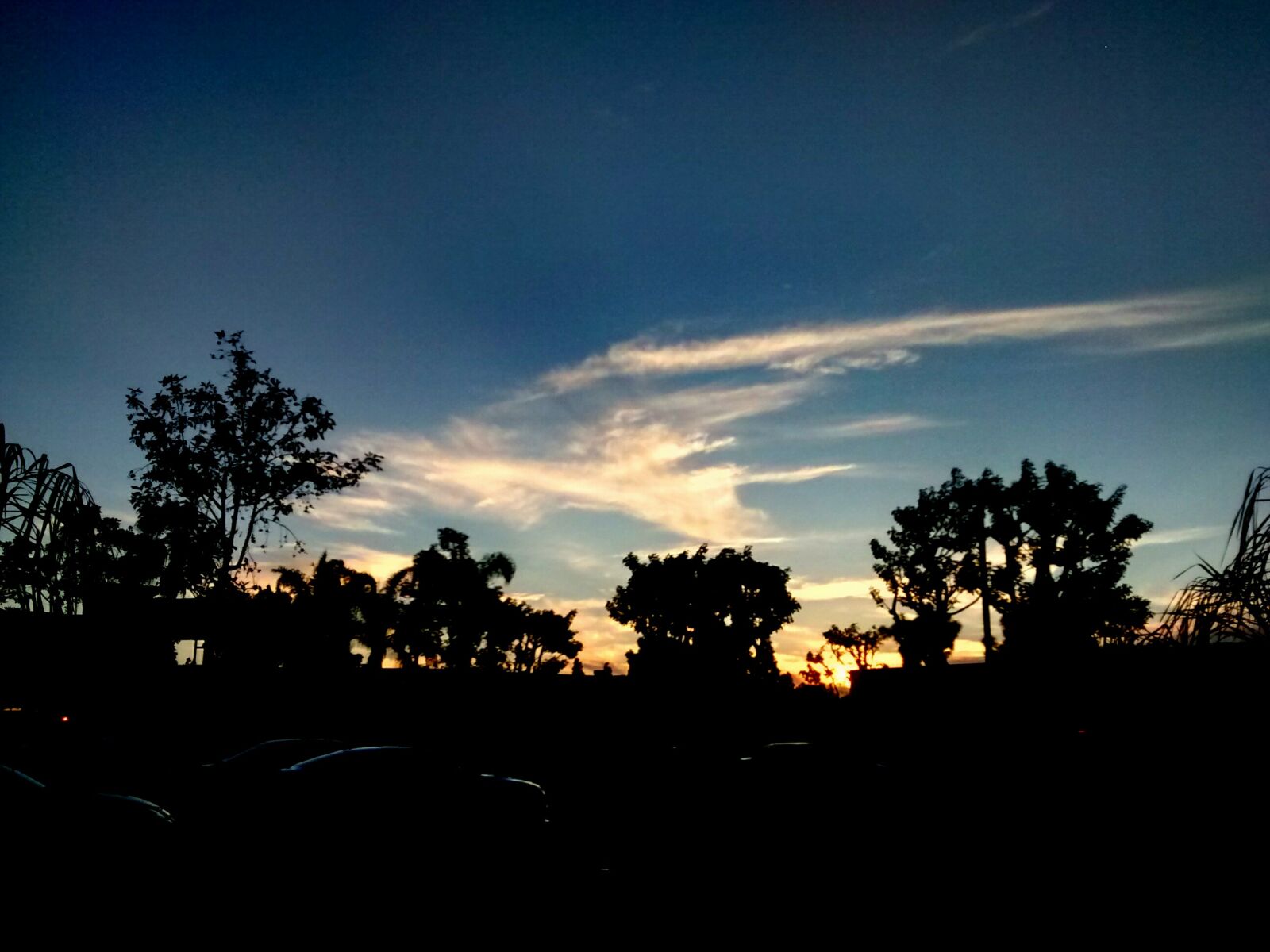 Motorola XT1032 sample photo. Clouds, silhouette, sunset, trees photography