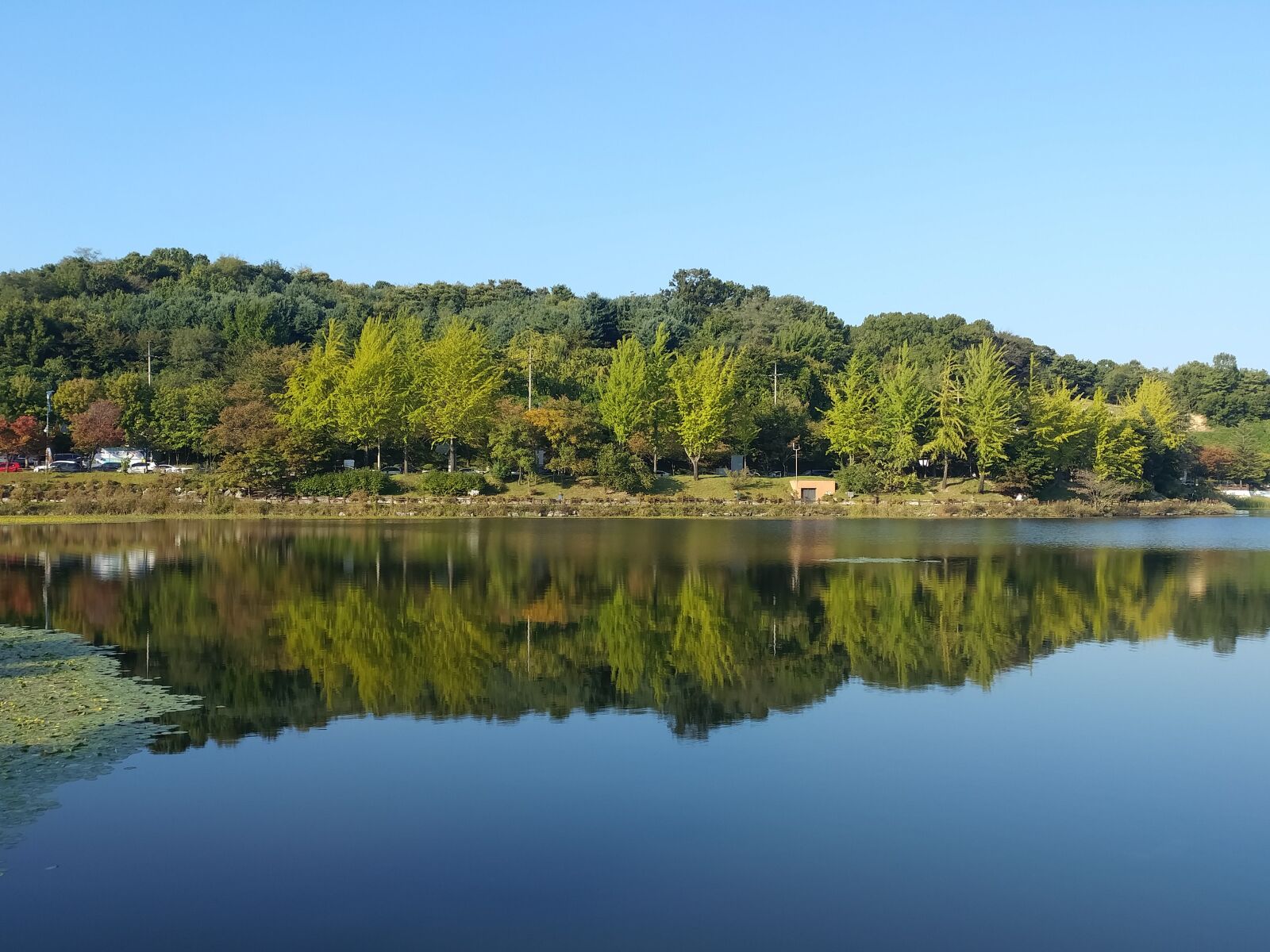 LG G5 sample photo. Lake, water, autumn photography