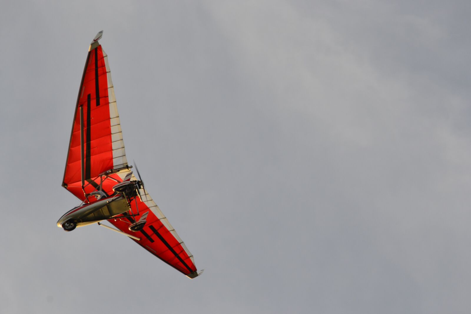 Nikon D3100 sample photo. Fly, freedom, sky photography