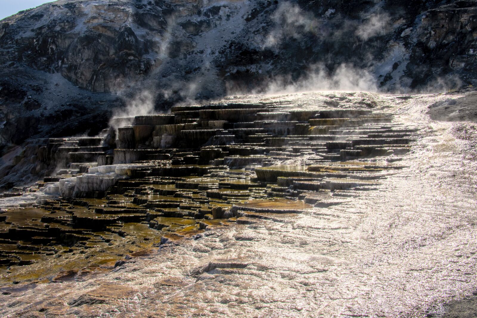Nikon D850 sample photo. Yellowstone, thermals, park photography